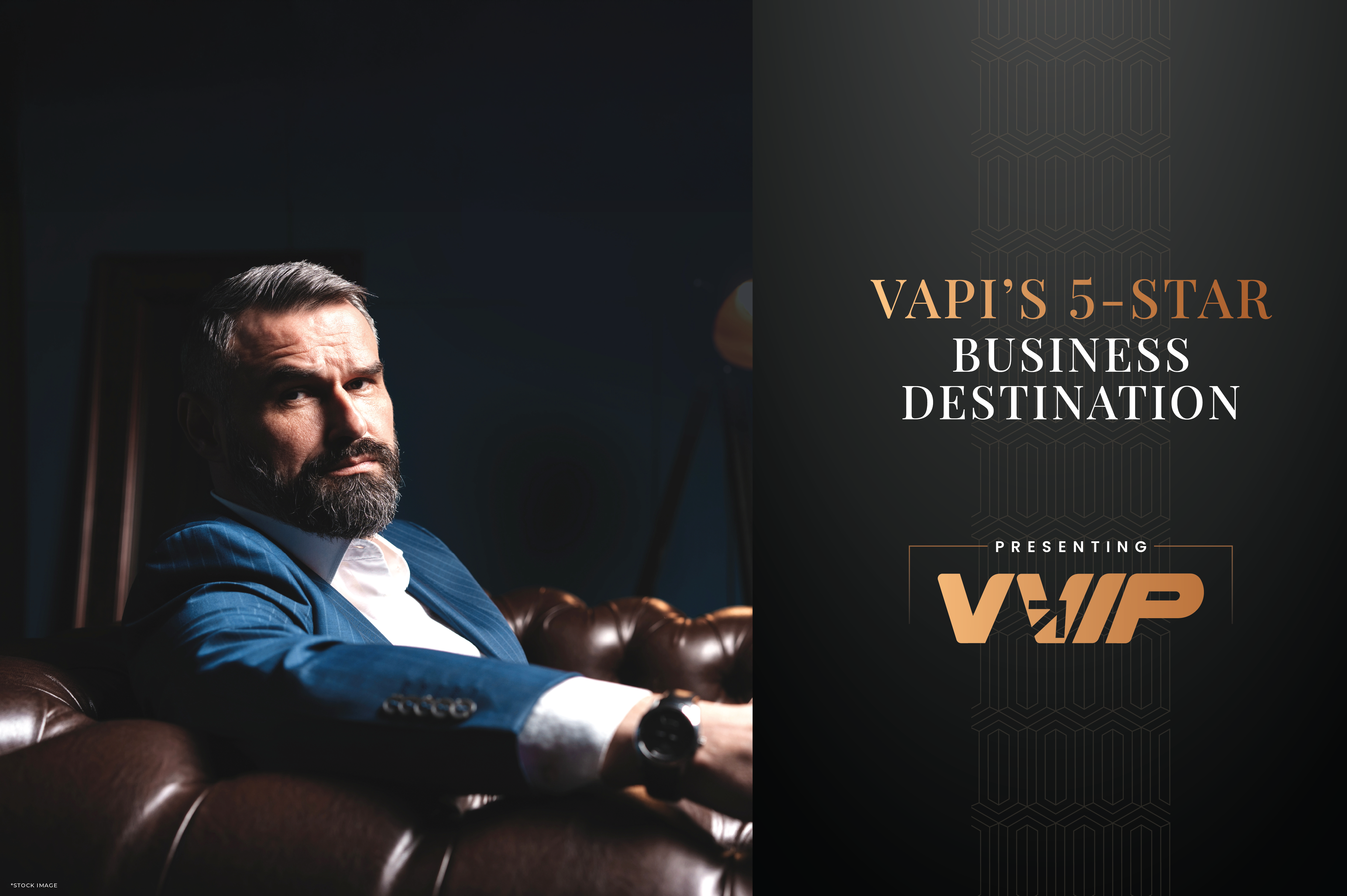 NeoVista Vapi luxury commercial property